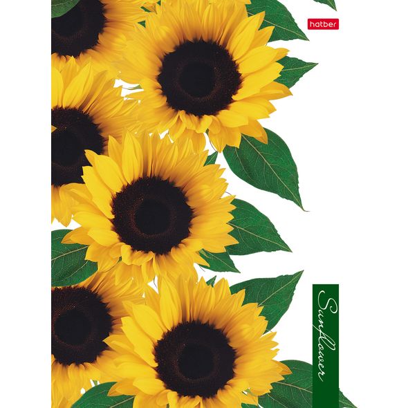 Тетрадь 160л А5ф на 4-х кольцах глянц. ламинация -SUNFLOWERS-  в индив.упак. , 